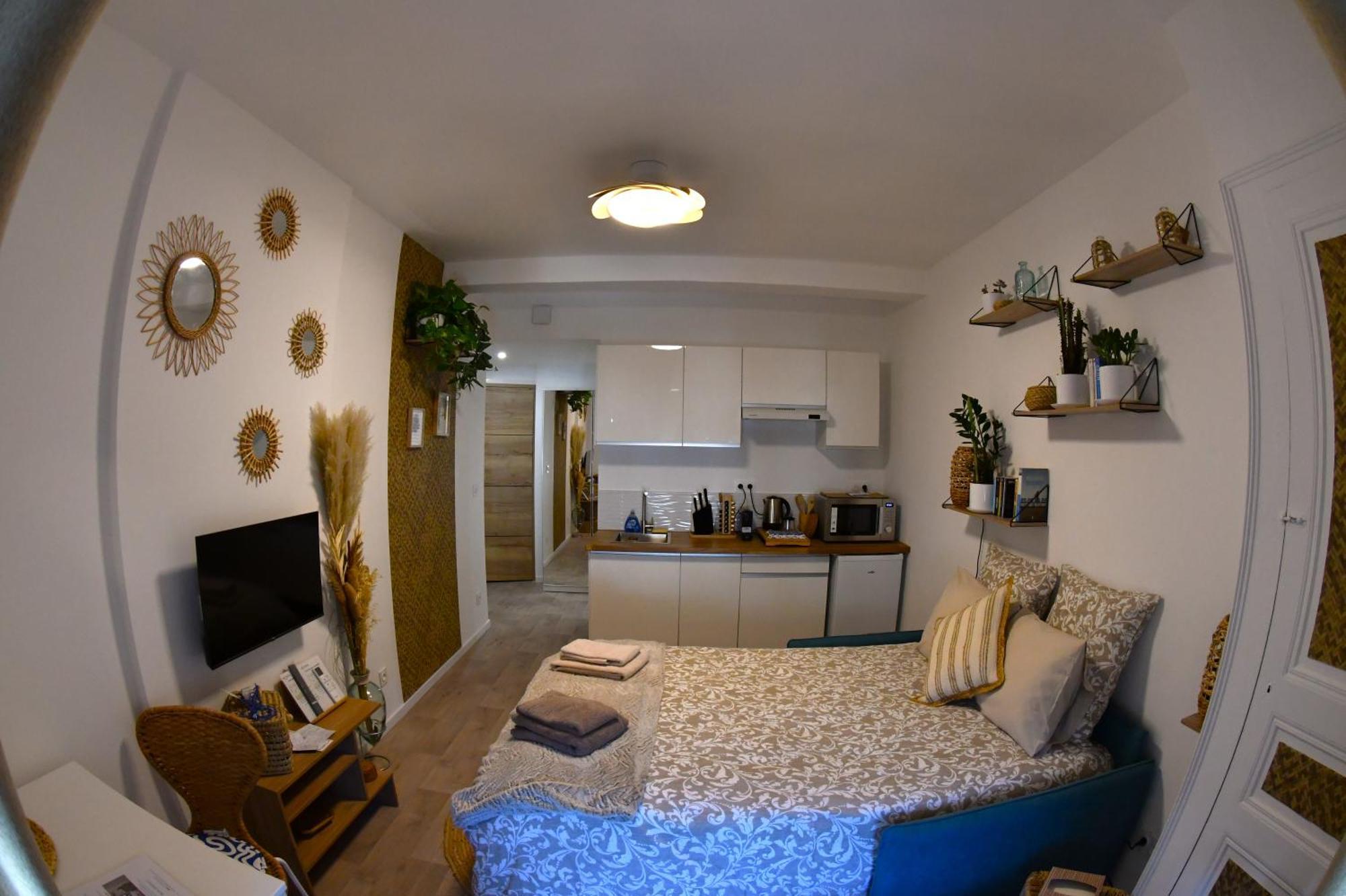 Studio Elegance Naturelle Proche Gare Voiron Extérieur photo
